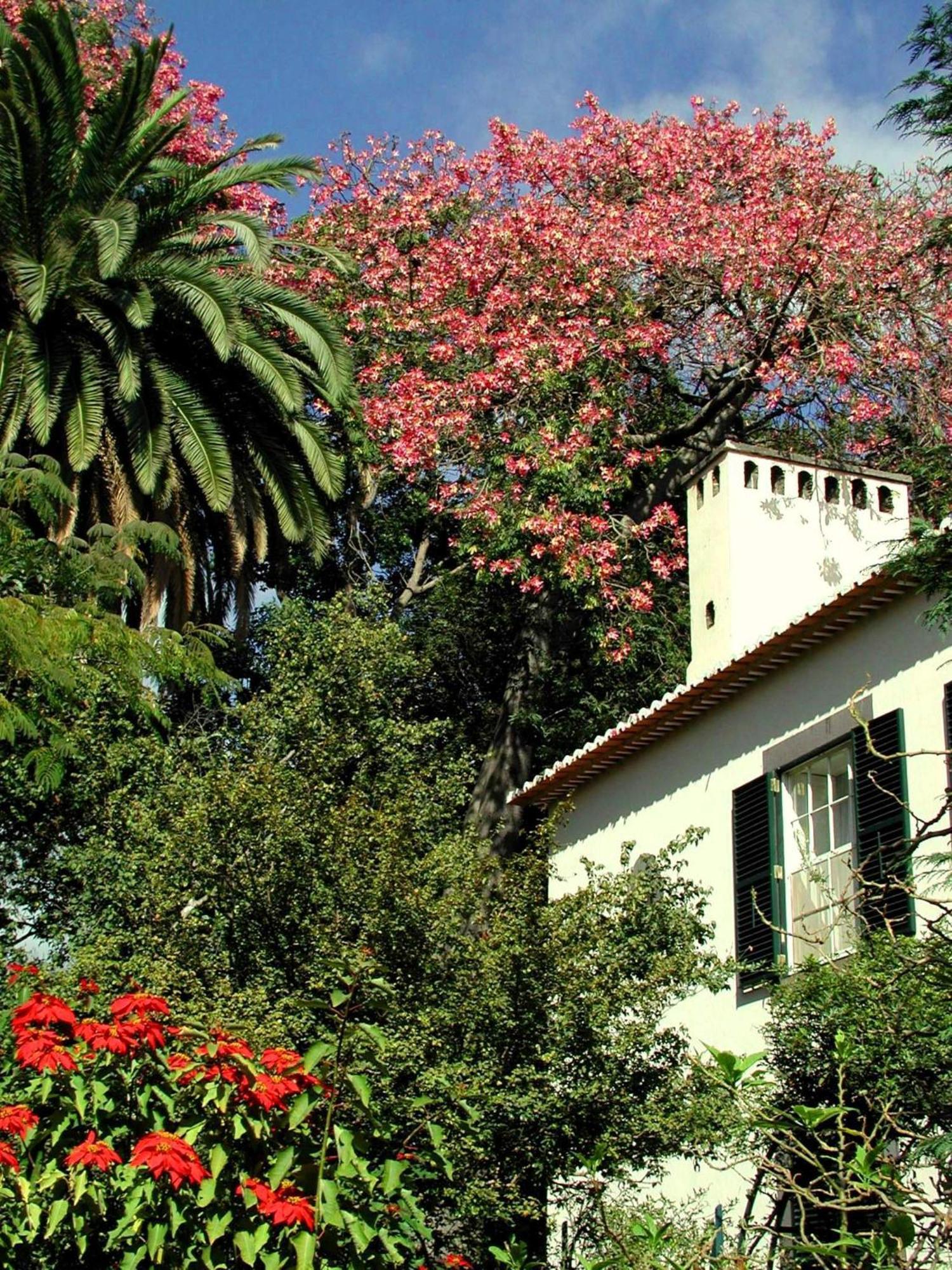 Quinta da Bela Vista Funchal (Madeira) Exterior foto